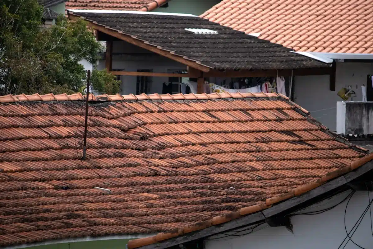 Damaged shingles before roof replacement — Brentwood, TN