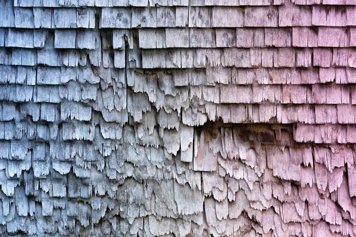 2025 hail damage Franklin TN — hail-damaged asphalt shingle roof